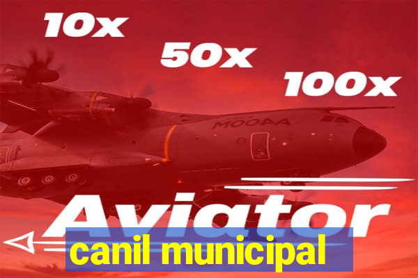 canil municipal